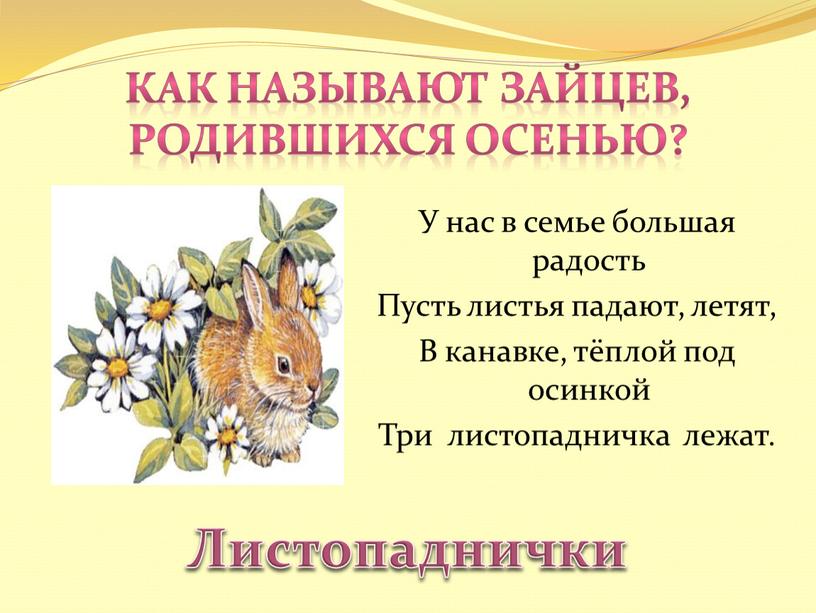 Как называют зайцев, родившихся осенью?