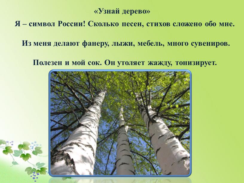 Я – символ России! Сколько песен, стихов сложено обо мне