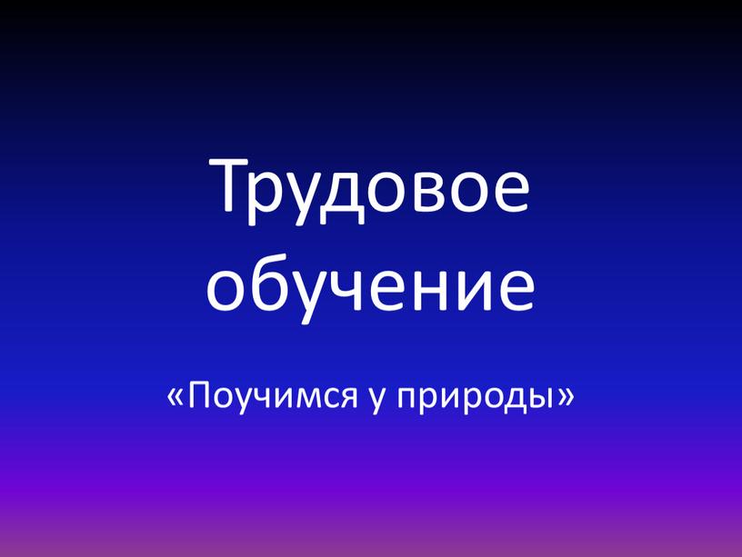 Трудовое обучение «Поучимся у природы»