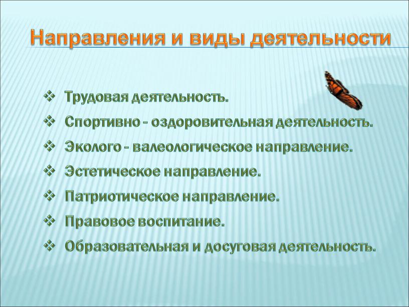 Трудовая деятельность. Спортивно - оздоровительная деятельность