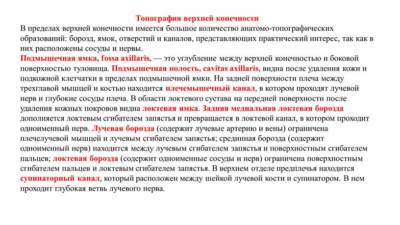 Топография верхней конечности В пределах верхней конечности имеется большое количество анатомо-топографических образований: борозд, ямок, отверстий и каналов, представляющих практический интерес, так как в них расположены…