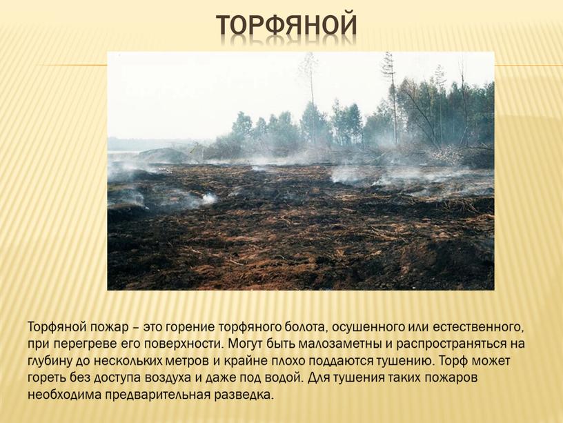 Торфяной пожар – это горение торфяного болота, осушенного или естественного, при перегреве его поверхности