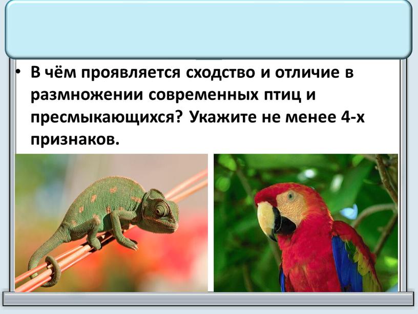 В чём проявляется сходство и отличие в размножении современных птиц и пресмыкающихся?