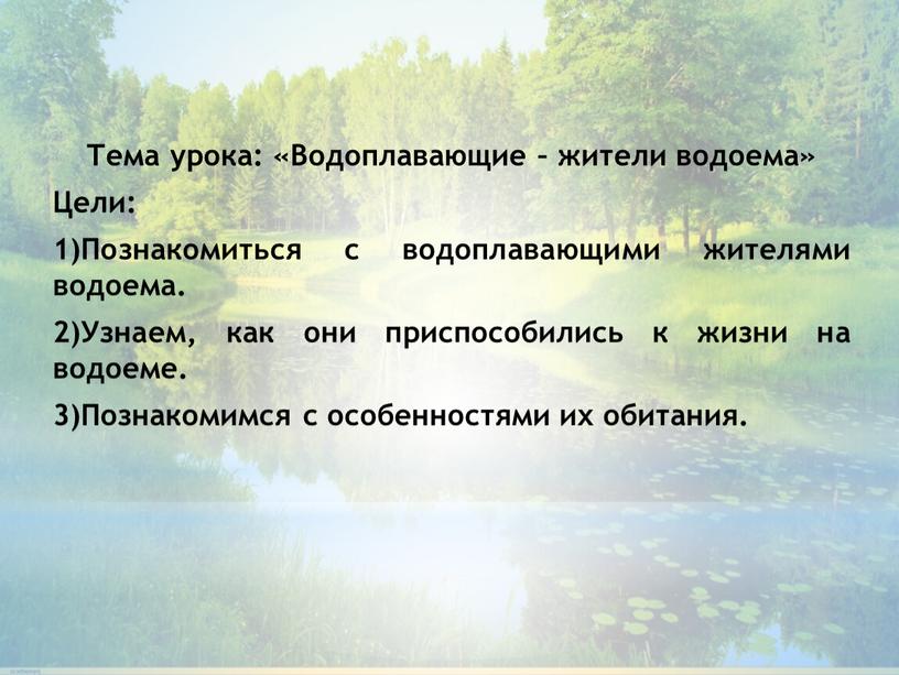 Тема урока: «Водоплавающие – жители водоема»