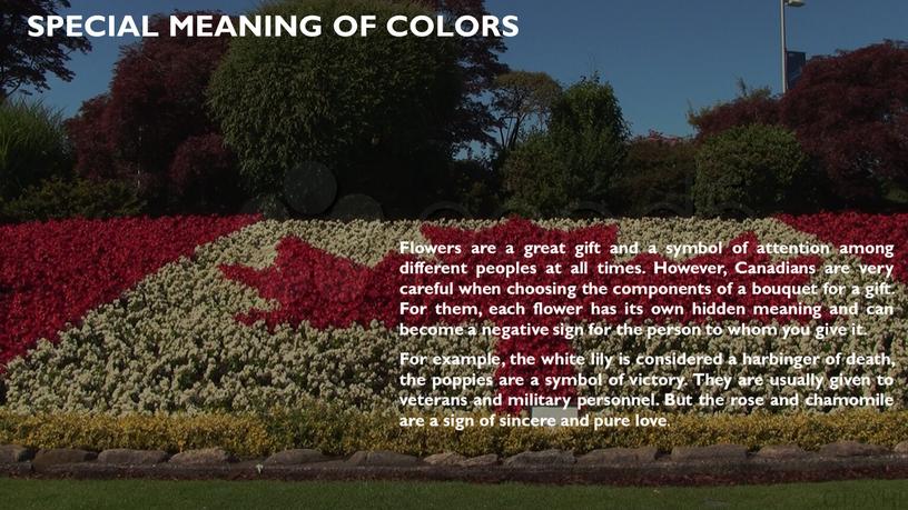 Special meaning of colors Flowers are a great gift and a symbol of attention among different peoples at all times