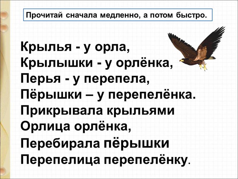 Читай сначала. Стих про орлицу. Читай сначала медленно потом быстро. Крылья у орла крылышки у Орлёнка. Орлица цитаты.