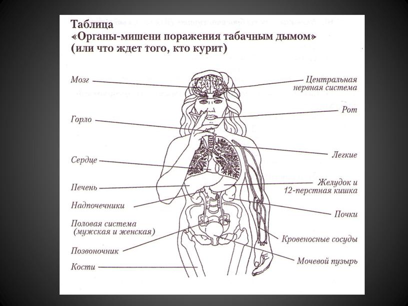 Презентация "Профилактика употребления ПАВ"