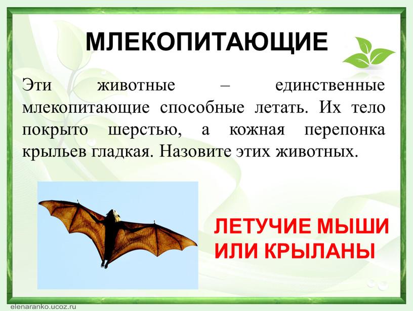 Какая нить в природе самая тонкая. Смотреть фото Какая нить в природе самая тонкая. Смотреть картинку Какая нить в природе самая тонкая. Картинка про Какая нить в природе самая тонкая. Фото Какая нить в природе самая тонкая