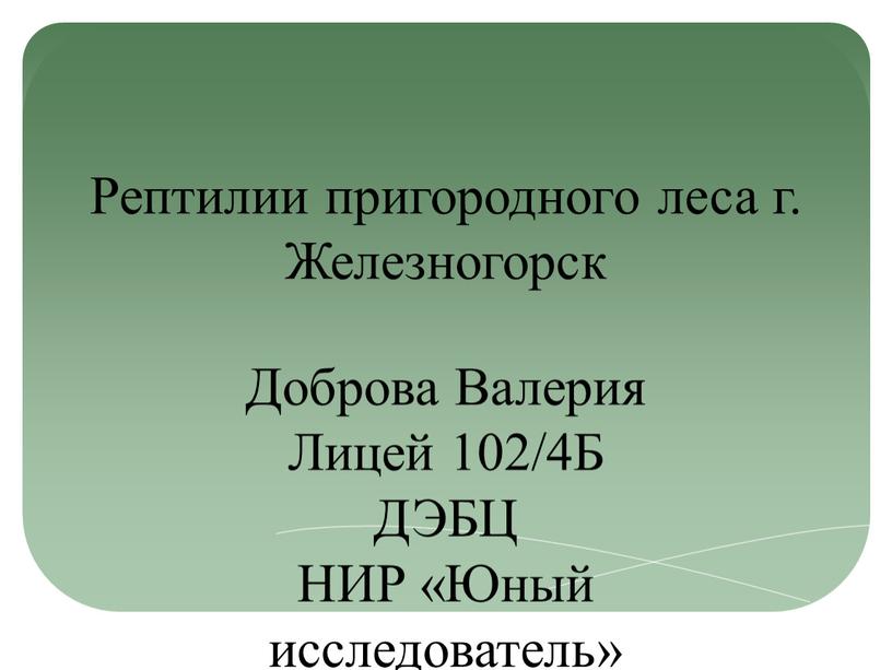 Рептилии пригородного леса г. Железногорск