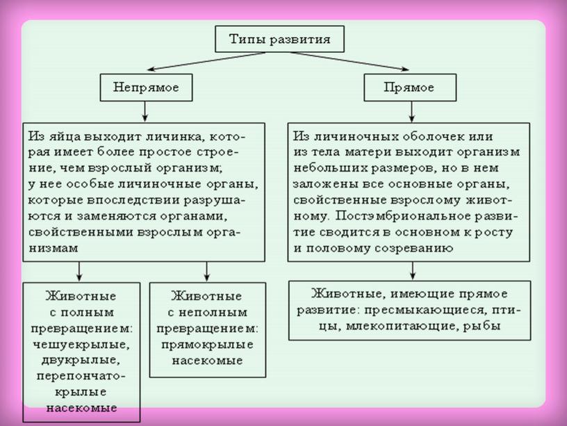 Индивидуальное развитие организмов Биологический закон