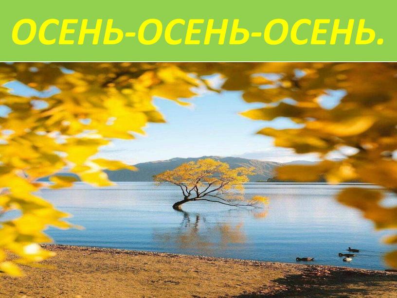 ОСЕНЬ-ОСЕНЬ-ОСЕНЬ.