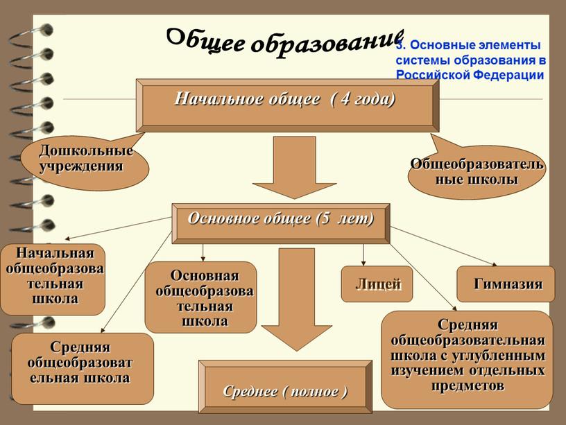 Общее образование Начальное общее ( 4 года)