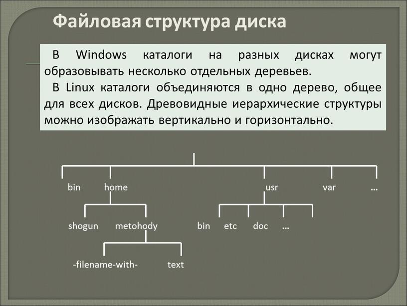 Файловая структура диска В Windows каталоги на разных дисках могут образовывать несколько отдельных деревьев