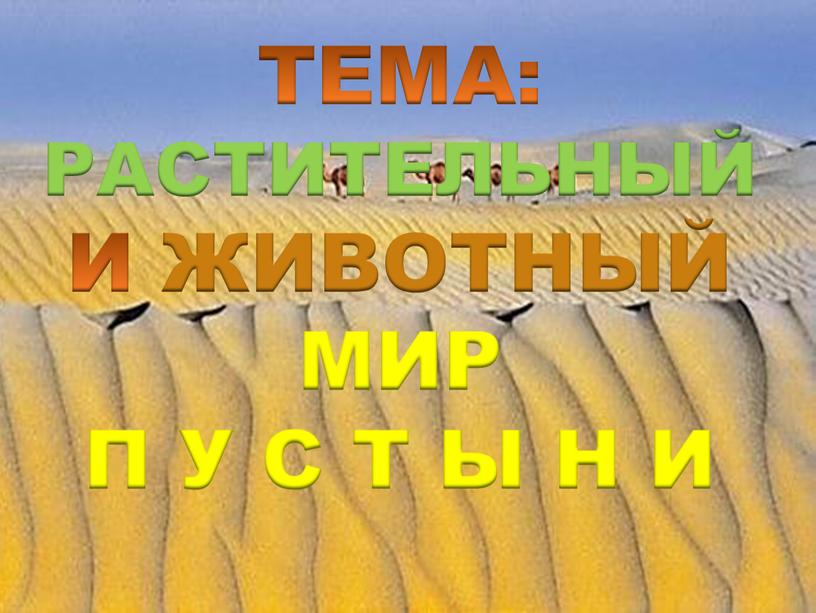 ТЕМА: РАСТИТЕЛЬНЫЙ И ЖИВОТНЫЙ МИР