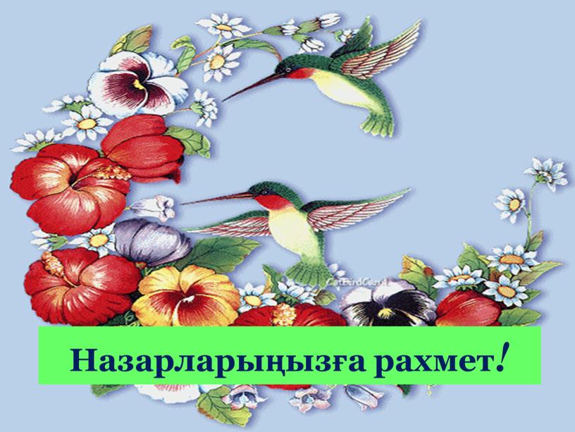 Назарларыңызға рахмет !