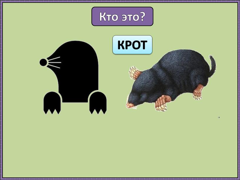 Кто это? КРОТ