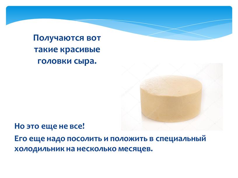 Но это еще не все! Его еще надо посолить и положить в специальный холодильник на несколько месяцев