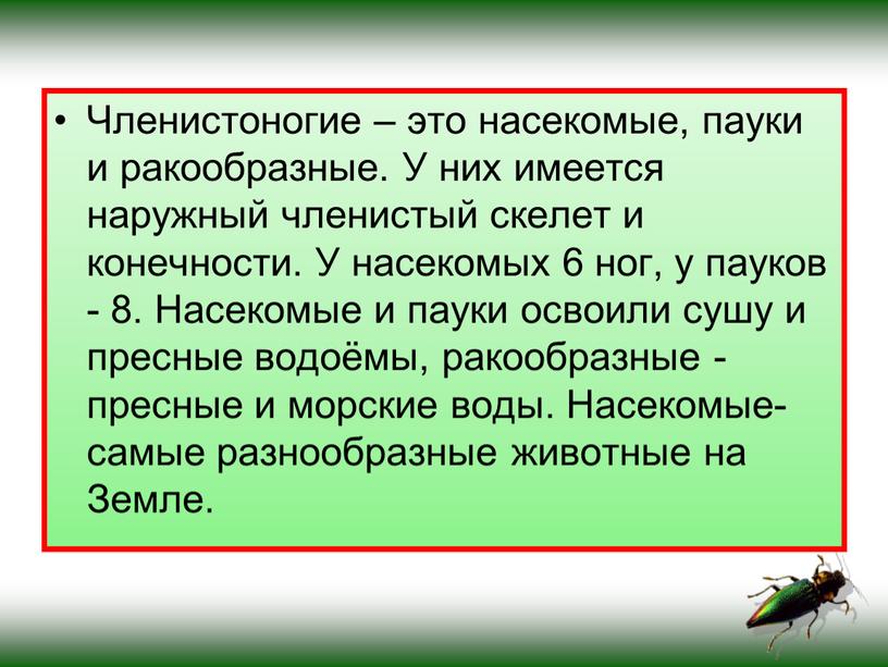 Членистоногие – это насекомые, пауки и ракообразные