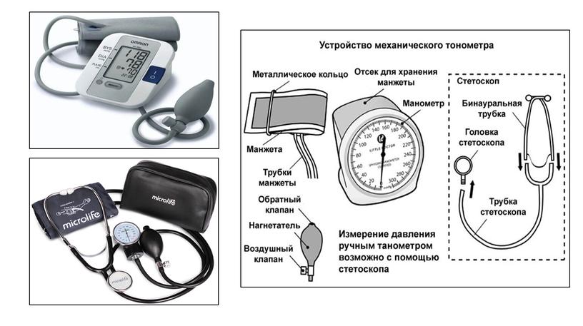 Здоровье, основные понятия  и критерии оценки