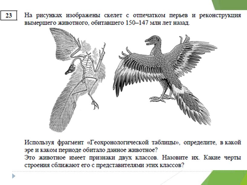 Разбор демо-версии ЕГЭ по биологии