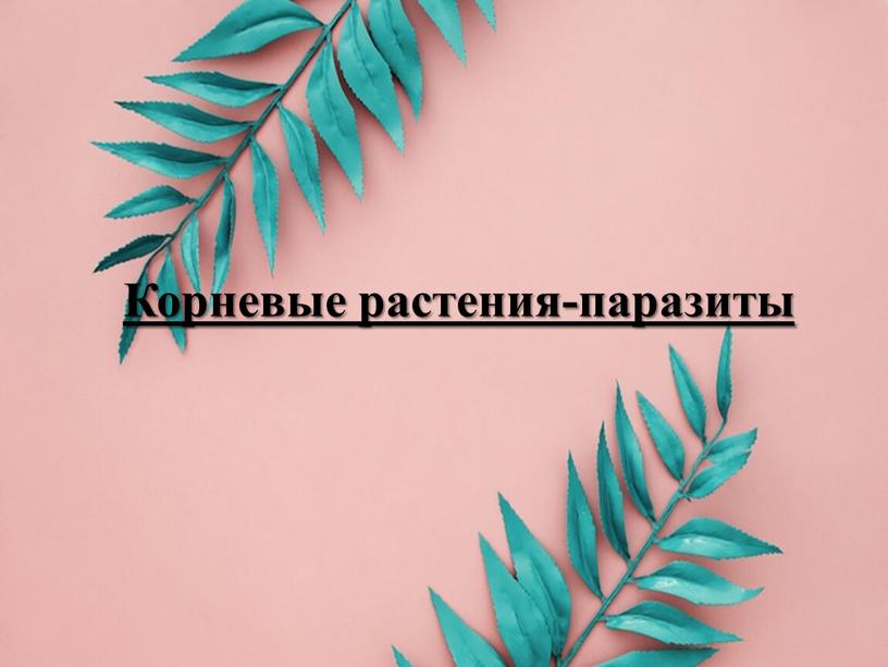 Корневые растения-паразиты