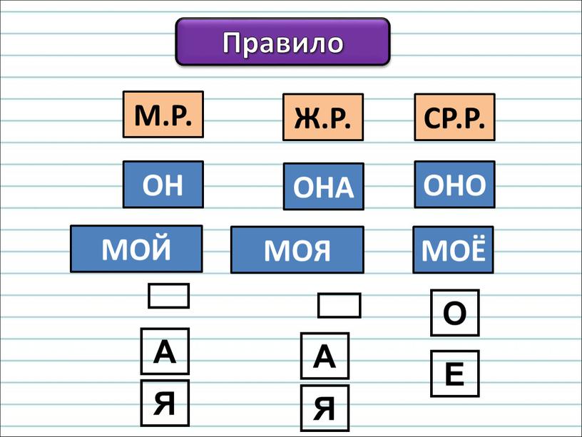 Правило М.Р. Ж.Р. СР.Р. ОН МОЙ