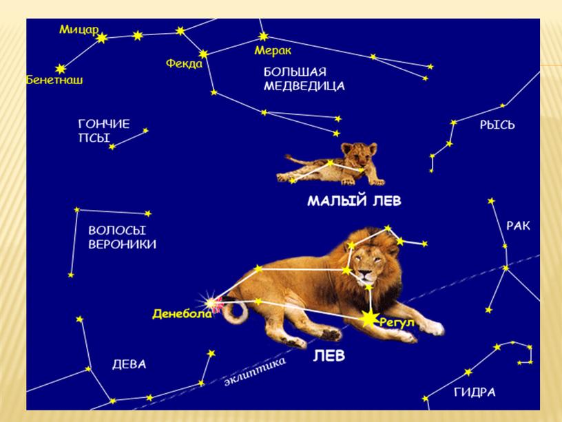 Окружающий мир 4 класс. Презентация "Звёздное небо. Созвездия. Представление о зодиаке."