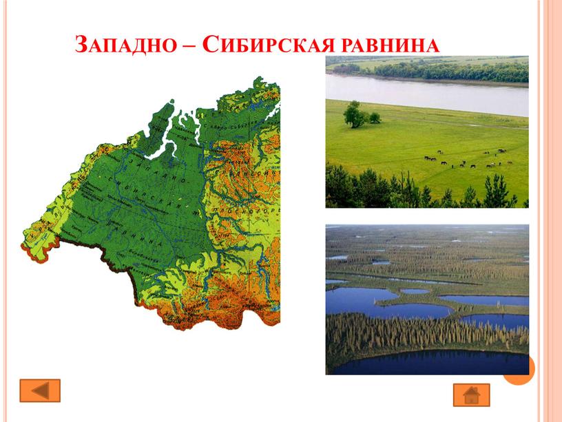 Западно – Сибирская равнина