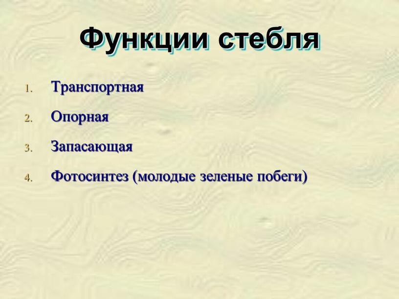 Функции стебля Транспортная Опорная