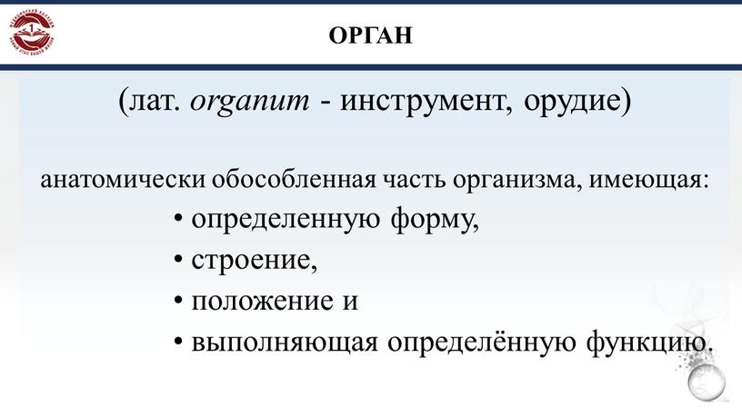 ОРГАН (лат. organum - инструмент, орудие) анатомически обособленная часть организма, имеющая: • определенную форму, • строение, • положение и • выполняющая определённую функцию