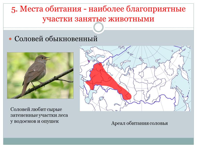 Места обитания - наиболее благоприятные участки занятые животными