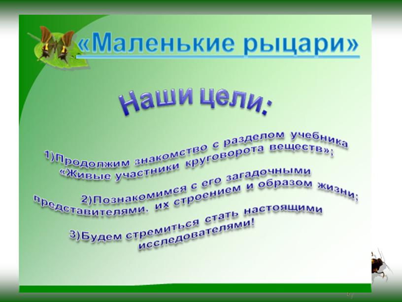 Урок по окружающему миру на тему "Маленькие рыцари" (презентация)