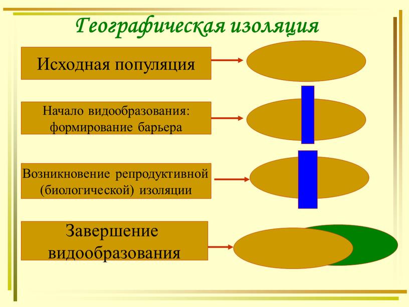 Географическая изоляция Исходная популяция