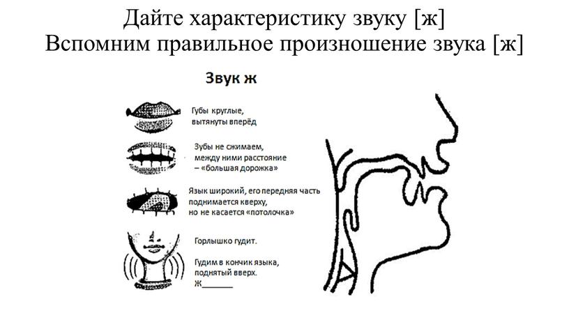 Дайте характеристику звуку [ж]