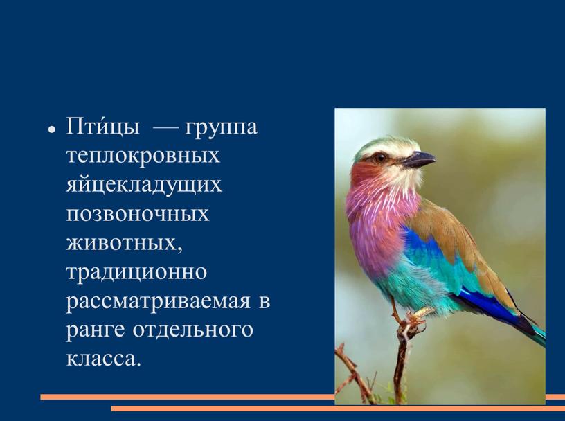 Пти́цы — группа теплокровных яйцекладущих позвоночных животных, традиционно рассматриваемая в ранге отдельного класса