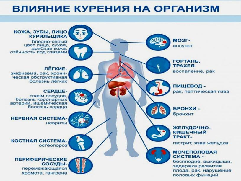 Презентация по ОБЖ на тему: "Факторы разрушающие здоровье".