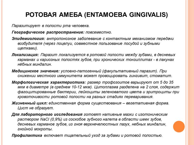 РОТОВАЯ АМЕБА (ENTAMOEBA GINGIVALIS)