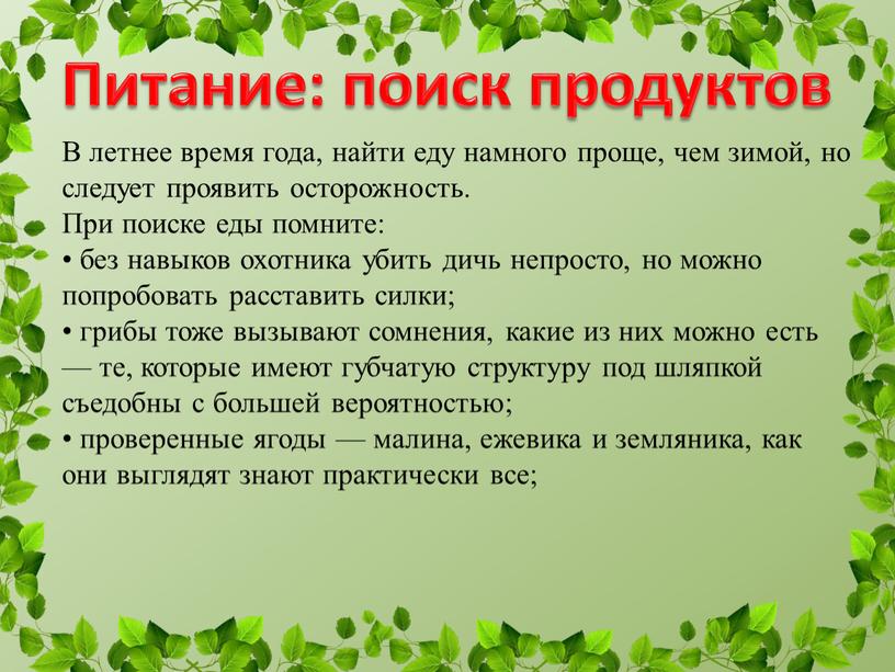 В летнее время года, найти еду намного проще, чем зимой, но следует проявить осторожность