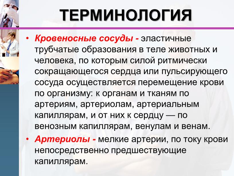 ТЕРМИНОЛОГИЯ Кровеносные сосуды - эластичные трубчатые образования в теле животных и человека, по которым силой ритмически сокращающегося сердца или пульсирующего сосуда осуществляется перемещение крови по…