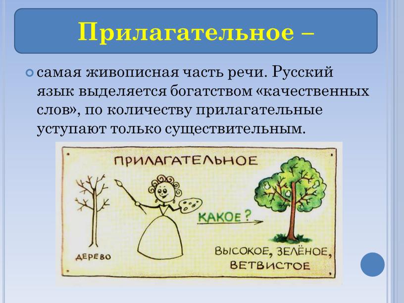 Русский язык выделяется богатством «качественных слов», по количеству прилагательные уступают только существительным