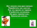 Обложка для материала Структура и функция хромосом.