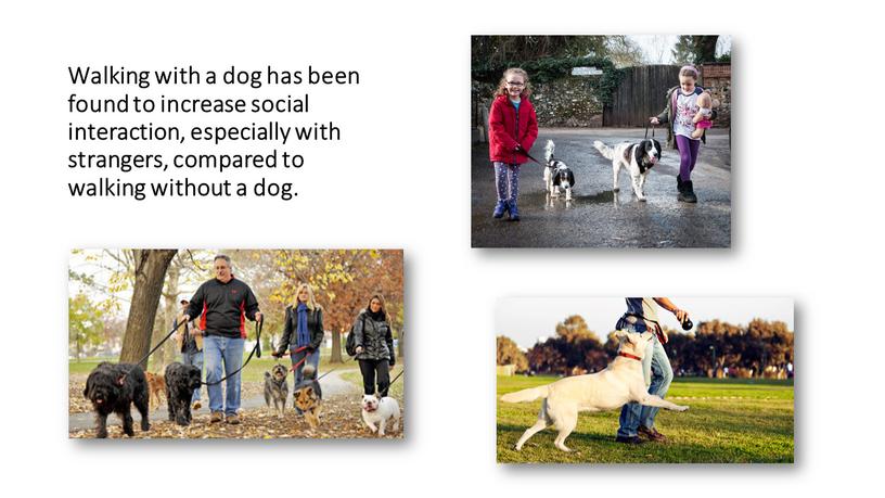 Walking with a dog has been found to increase social interaction, especially with strangers, compared to walking without a dog