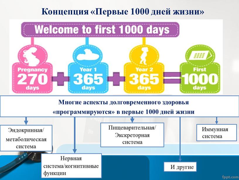 Концепция «Первые 1000 дней жизни»