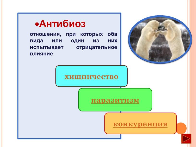 Антибиоз хищничество паразитизм конкуренция отношения, при которых оба вида или один из них испытывает отрицательное влияние