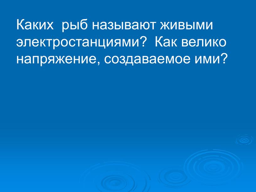 Каких рыб называют живыми электростанциями?