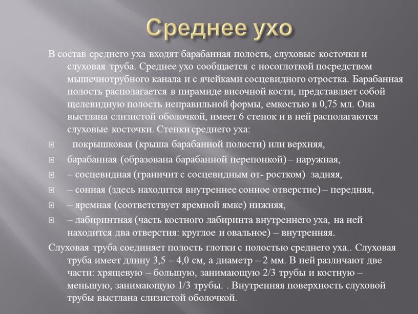 Среднее ухо В состав среднего уха входят барабанная полость, слуховые косточки и слуховая труба