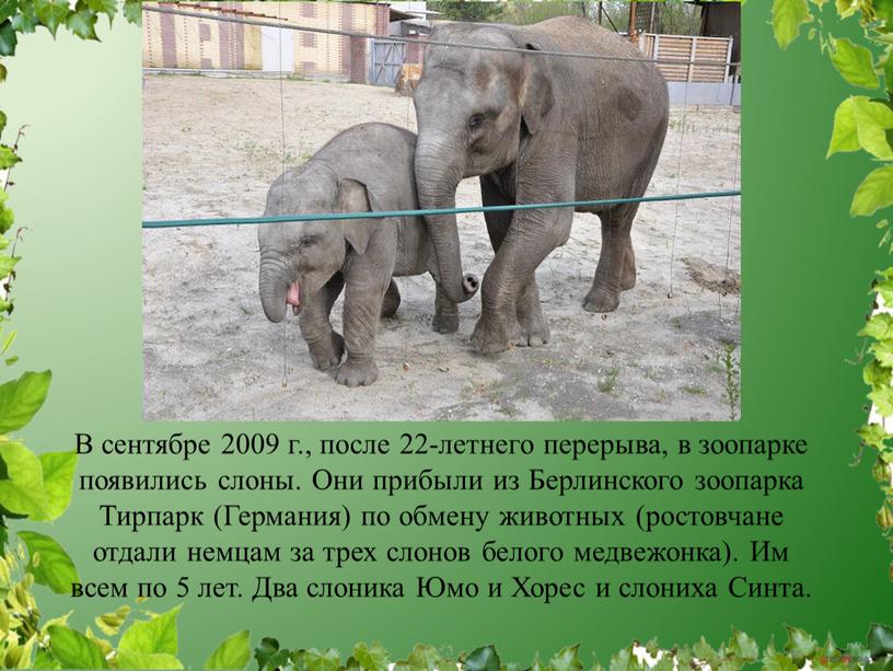 В сентябре 2009 г., после 22-летнего перерыва, в зоопарке появились слоны