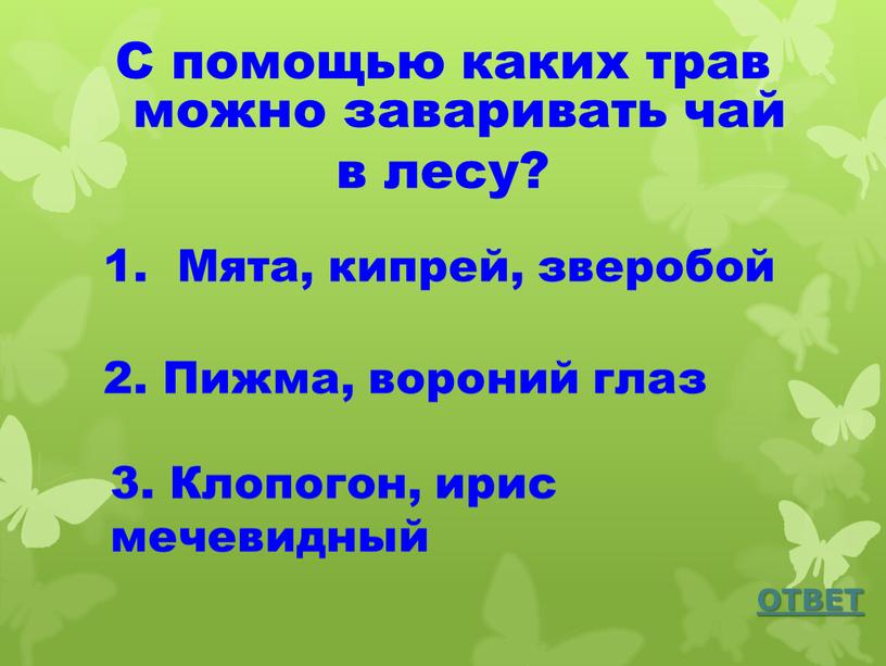 С помощью каких трав можно заваривать чай в лесу?