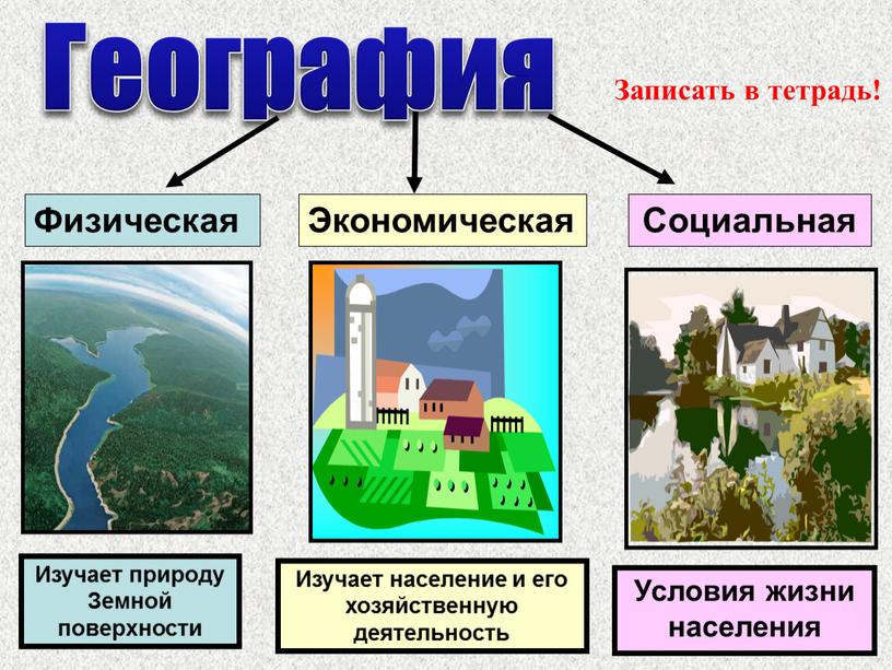 Физическая Экономическая Социальная