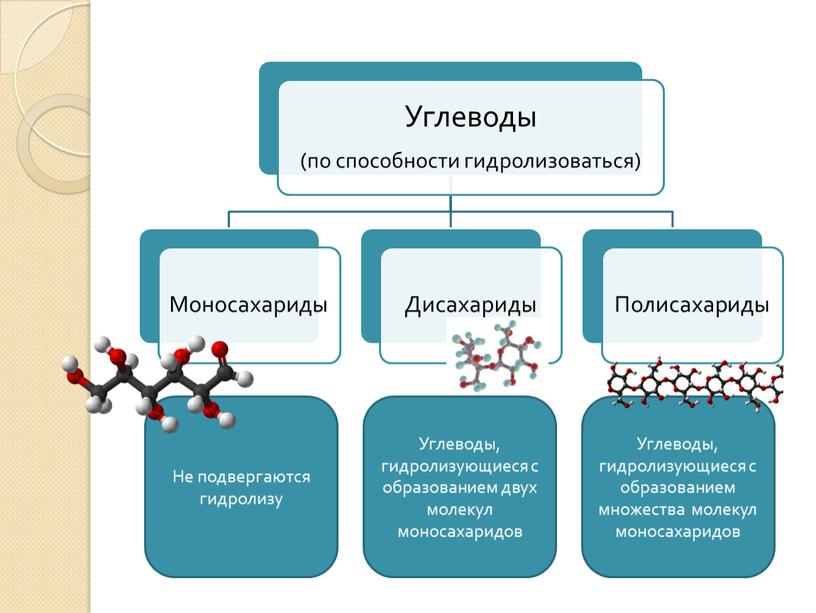 Не подвергаются гидролизу Углеводы, гидролизующиеся с образованием двух молекул моносахаридов